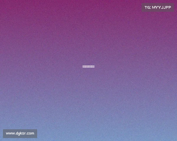 体育赛事编排方案