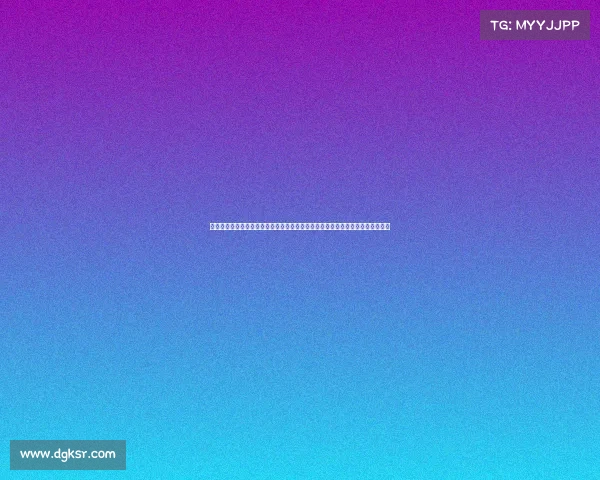 国内技术官员是干啥的、技术官员赛事含义全面解析：定义、内容与重要作用详解